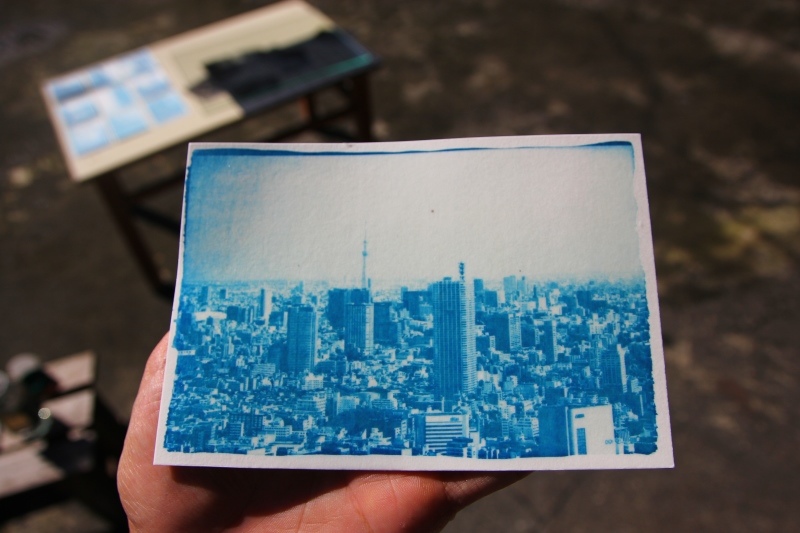 日光印刷術13.jpg 日光印刷術13.jpg