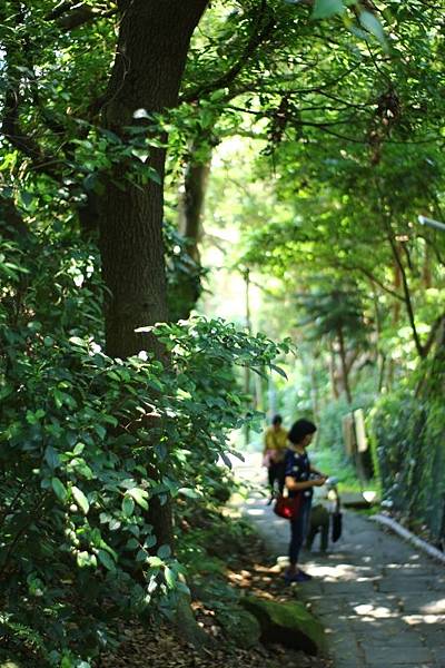 天母水管路古道02.jpg