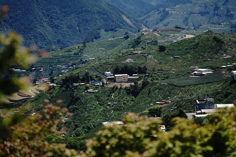 [ 旅行札記 ]夏日山行．3422合歡山主北峰