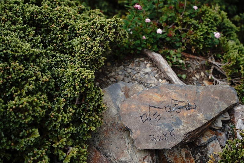 [ 旅行札記 ]夏日山行．3422合歡山主北峰