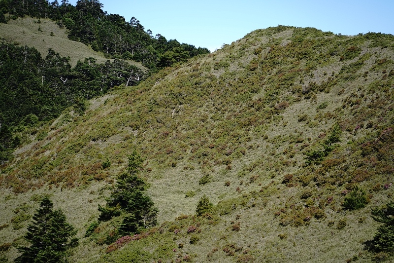 [ 旅行札記 ]夏日山行．3422合歡山主北峰