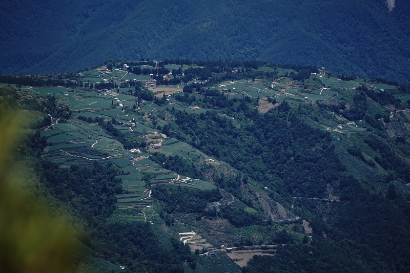 [ 旅行札記 ]夏日山行．3422合歡山主北峰