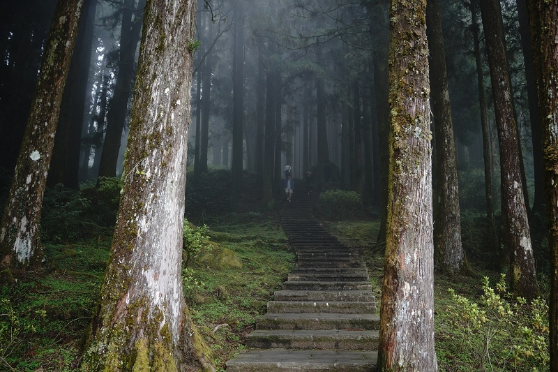[ 旅行札記 ]嘉旅行D2 - 阿里山觀日列車．小笠原觀景台