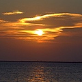 IMG_6998.jpg