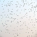 IMG_7058.jpg