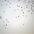 IMG_7067.jpg