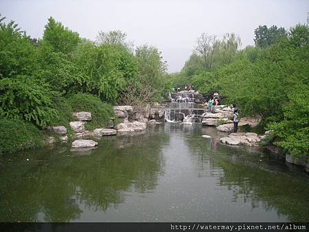 植物園-19