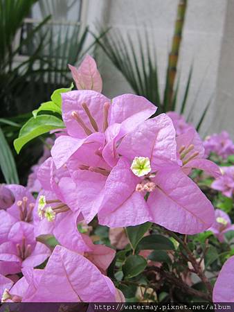 IMG_1204 IMG_1204