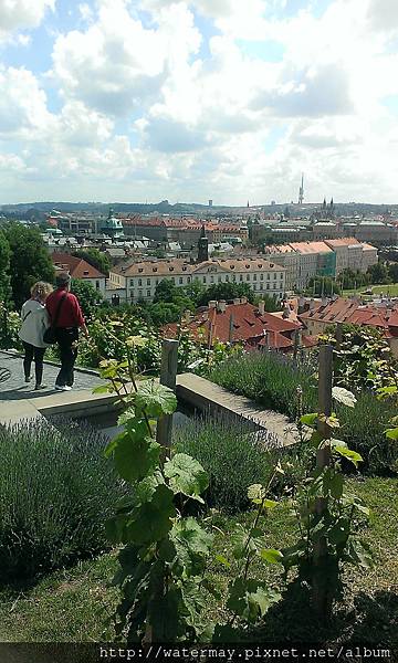 Day6-01 捷克-布拉格城堡（Pražský hrad)