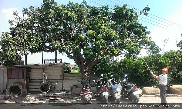 2014-08-31 09.58.07.jpg