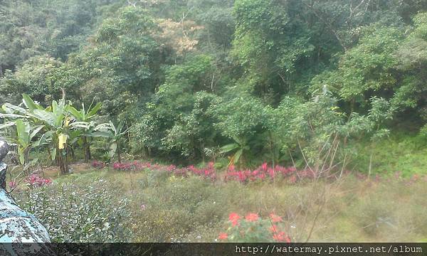 2015-01-01 09.50.45-2.jpg