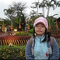 DSCN4515.JPG