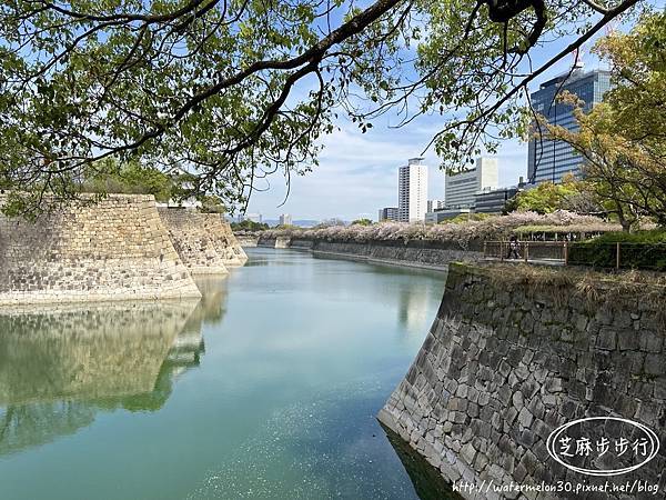 【日本大阪】大阪奈良櫻花行