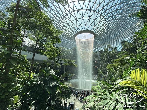 【新加坡】夏季尾巴之花園城市自由行