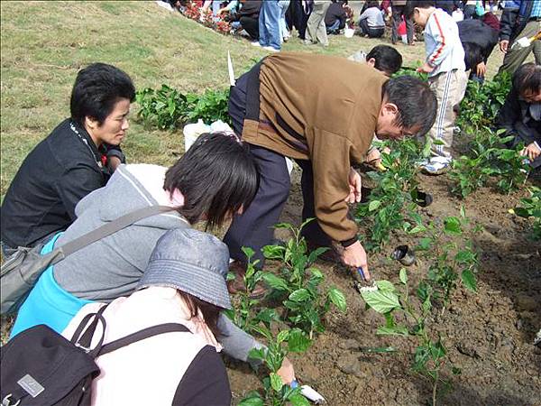 因為土很硬