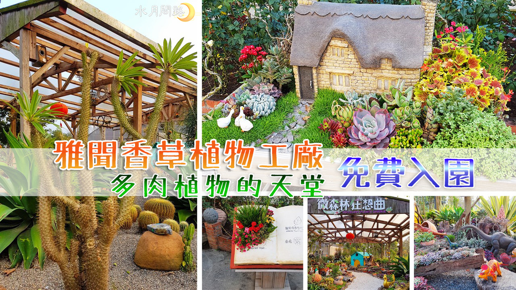 雅聞香草植物工廠,多肉植物,雅聞倍優實體商店,白色荷蘭風車,玫瑰園區,高科技LED密閉環控植物工廠,三義,苗栗,植物,森林,大自然,沙灘