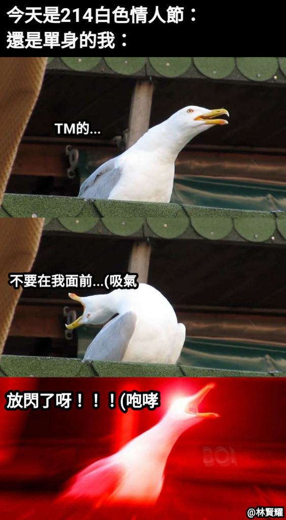 情人節笑話爆笑好笑梗圖57.jpg