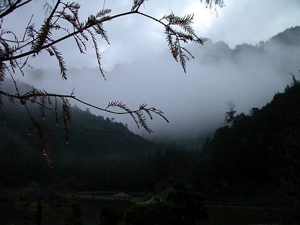 明池森林遊樂區清晨