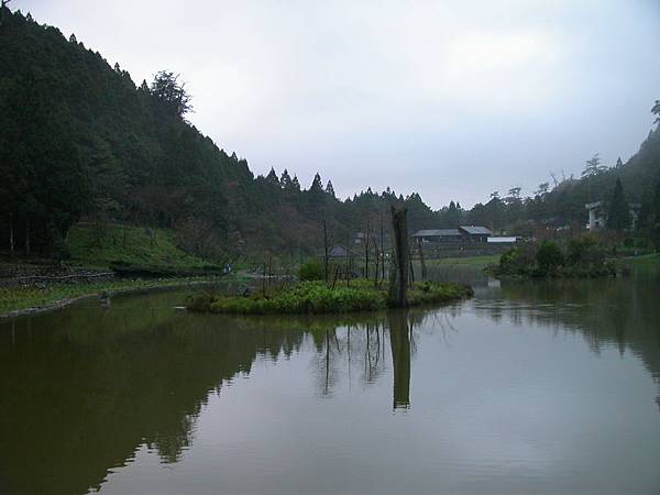 明池森林遊樂區清晨之湖面倒影