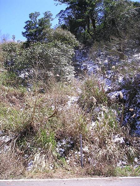 堆雪人旁的山坡