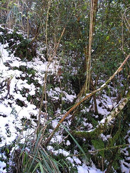 堆雪人旁的山坡