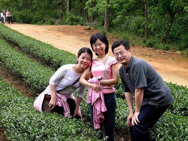 慈濟茶園_合影留念