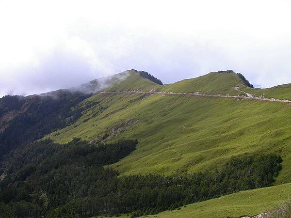 合歡山公路（台十四甲）