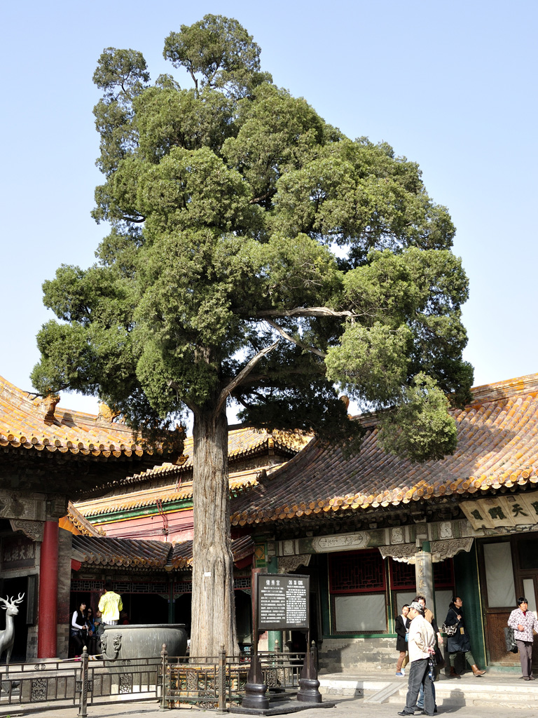 20130414北京行105