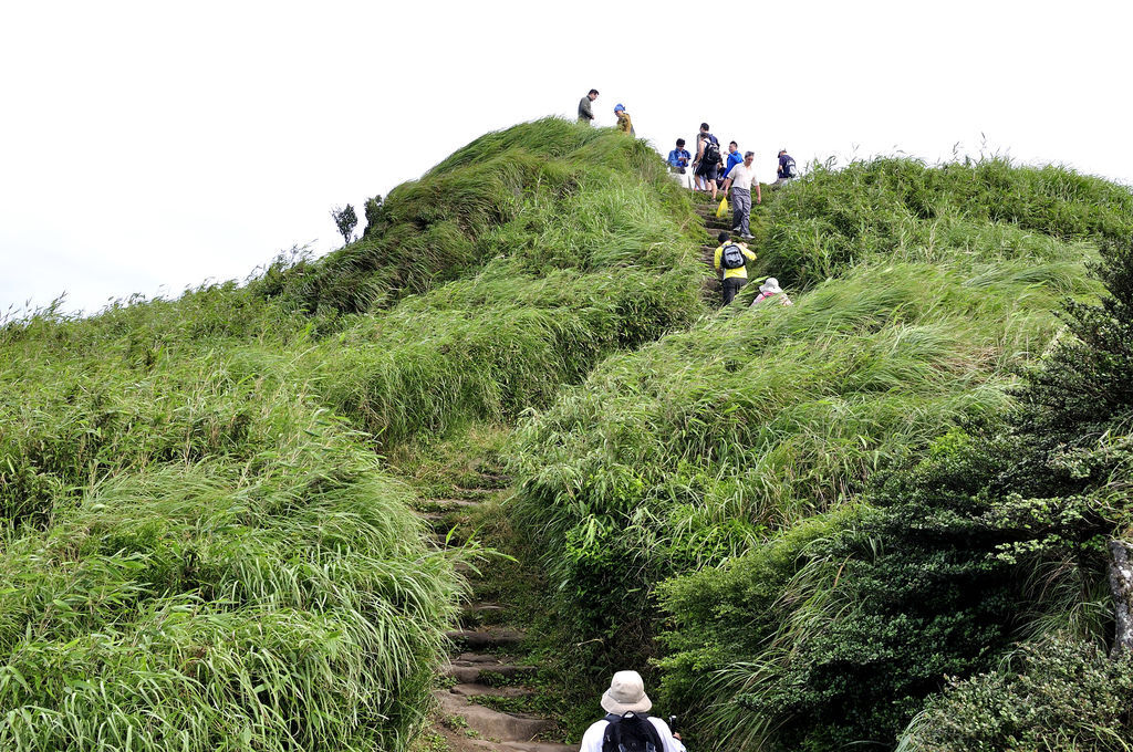 20130602七星山網誌46