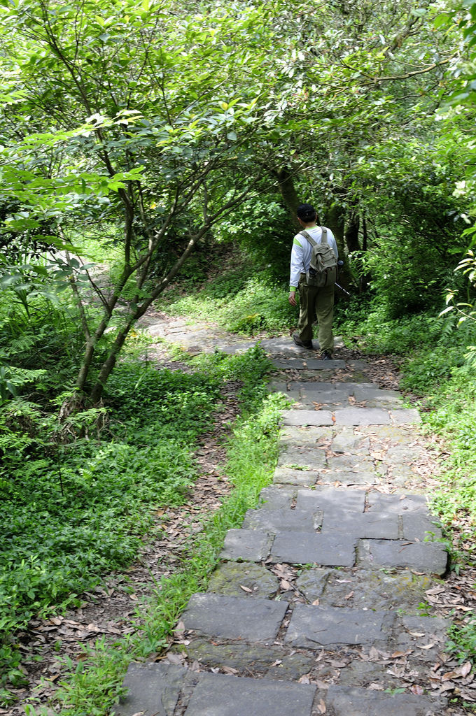 20130602七星山網誌80