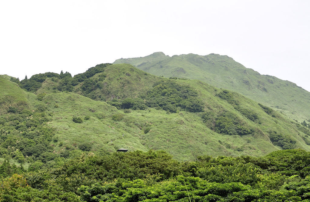 20130602七星山網誌88