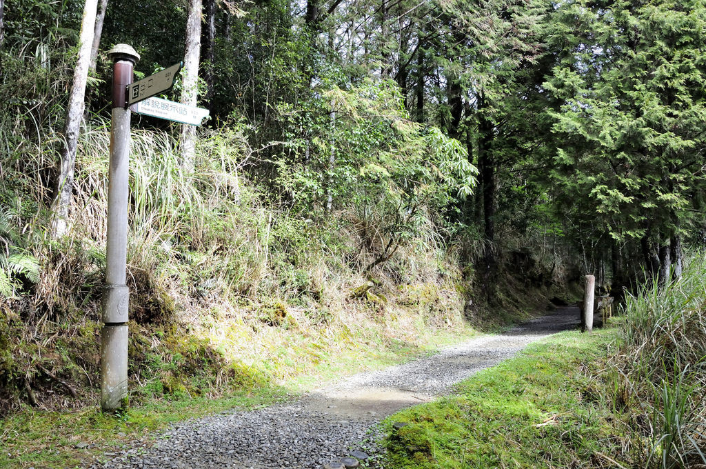 20140410翠峰湖環山步道04.JPG