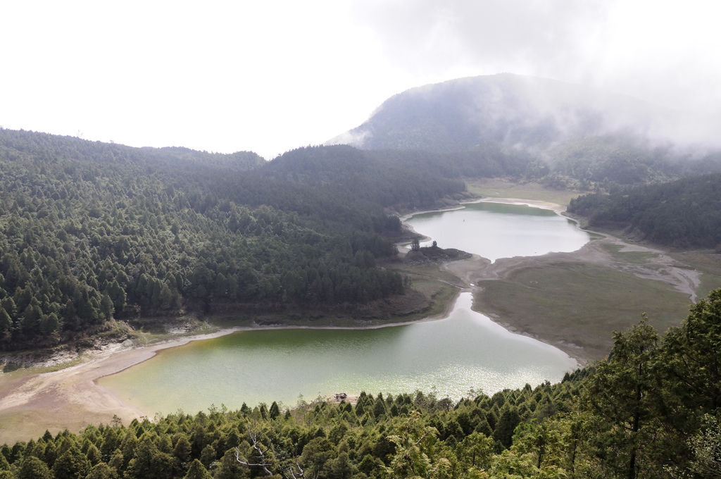 20140410翠峰湖環山步道19.JPG