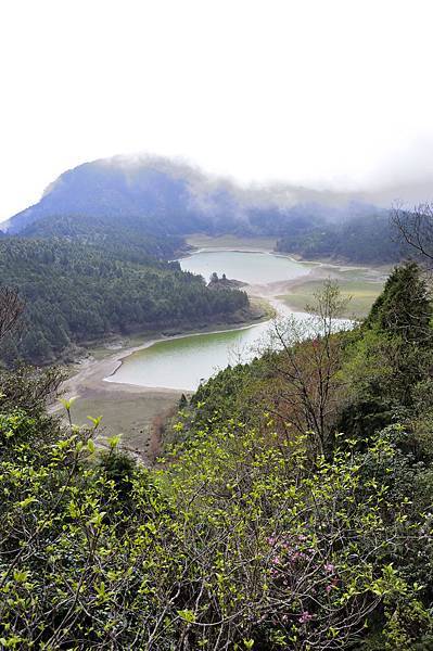 20140410翠峰湖環山步道23.JPG