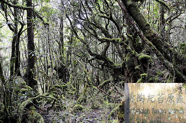 20140410翠峰湖環山步道38-1