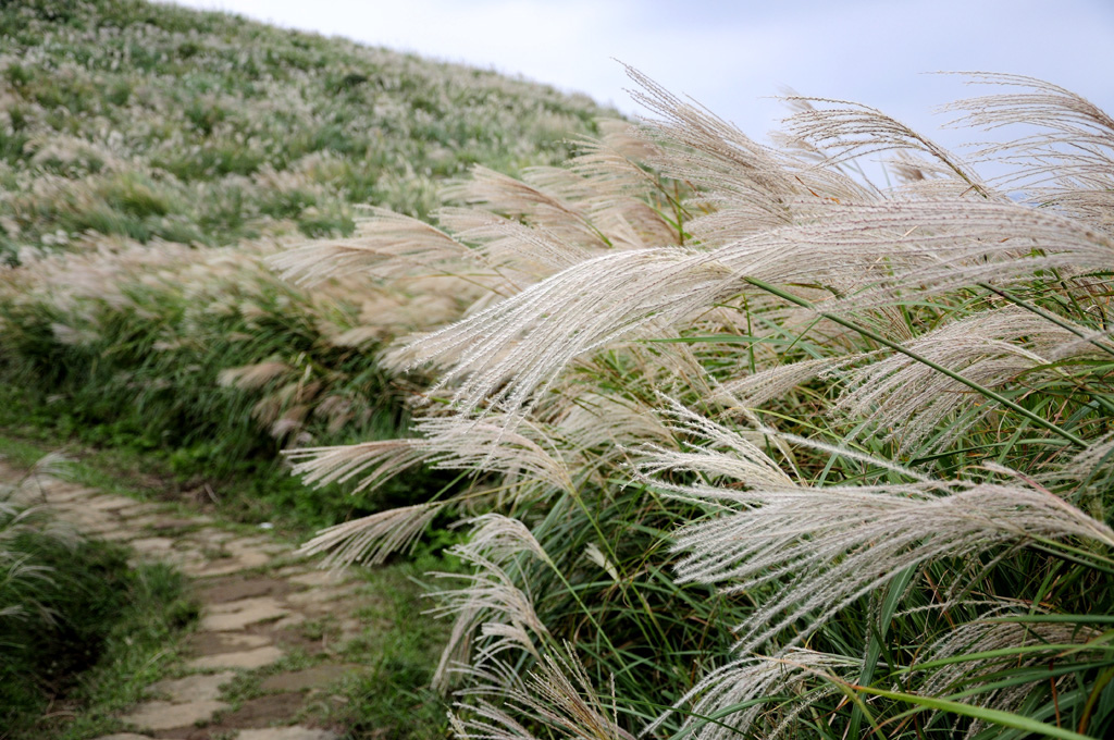 20141014風櫃嘴_61.jpg