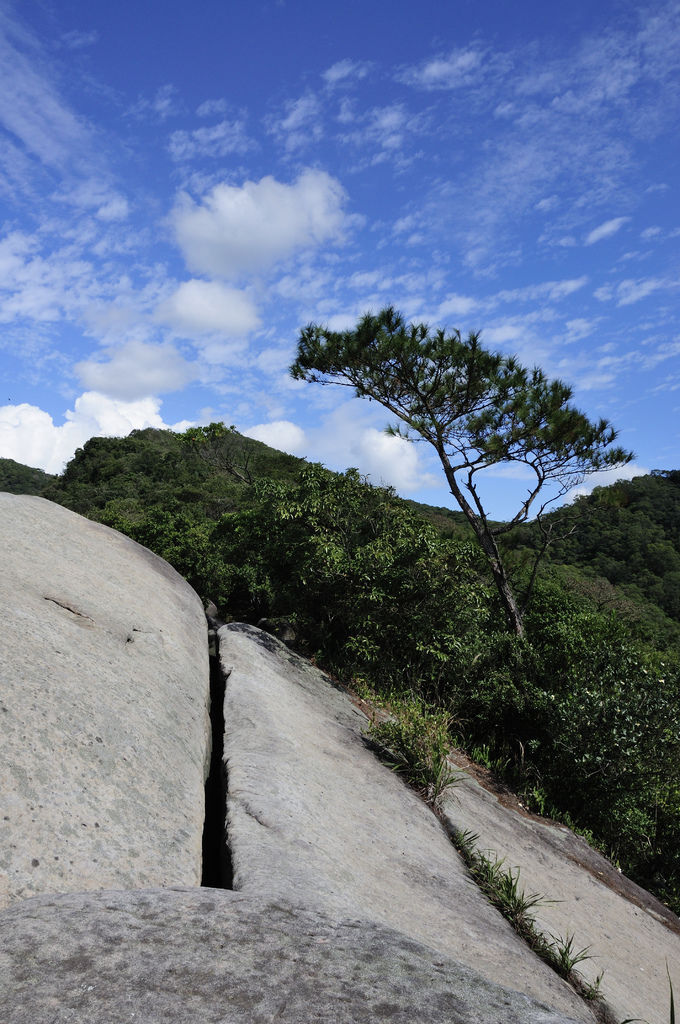 20141128內湖群山_009.JPG