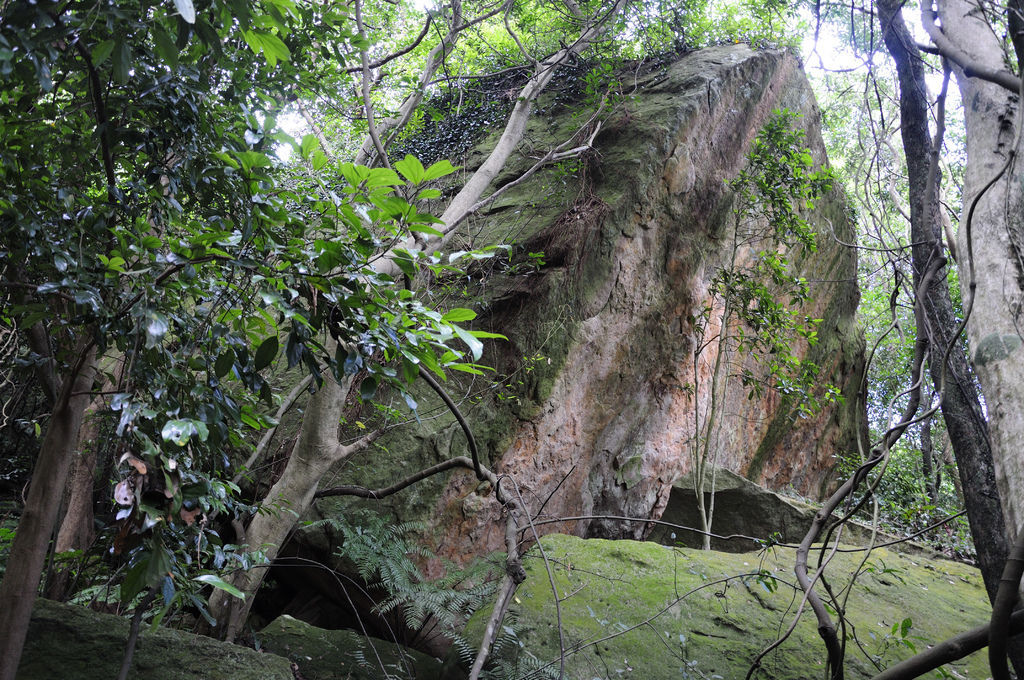 20141128內湖群山_053.JPG