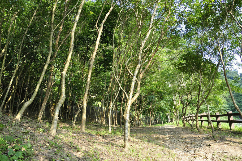 20150716豹山溪攀岩步道_07.jpg