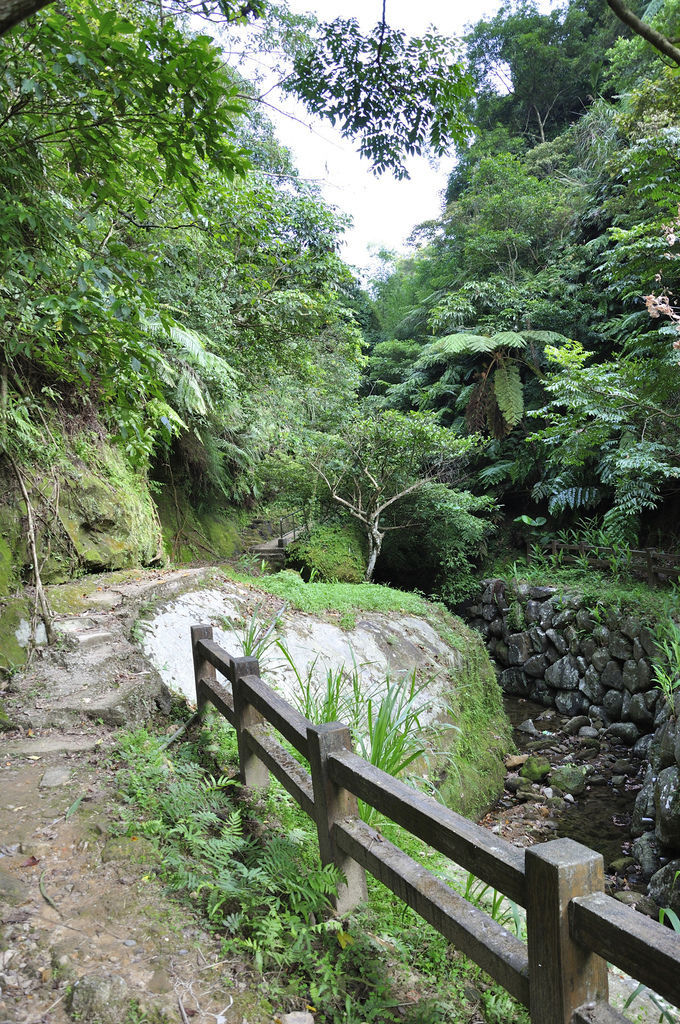 20150716豹山溪攀岩步道_08.jpg