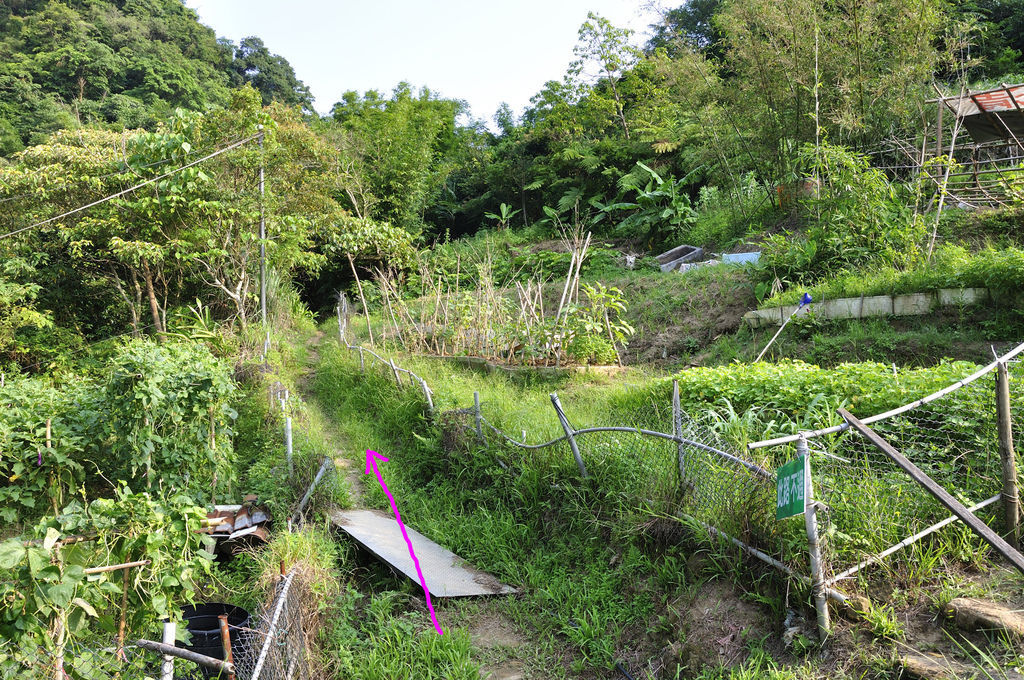 20150716豹山溪攀岩步道_12.jpg