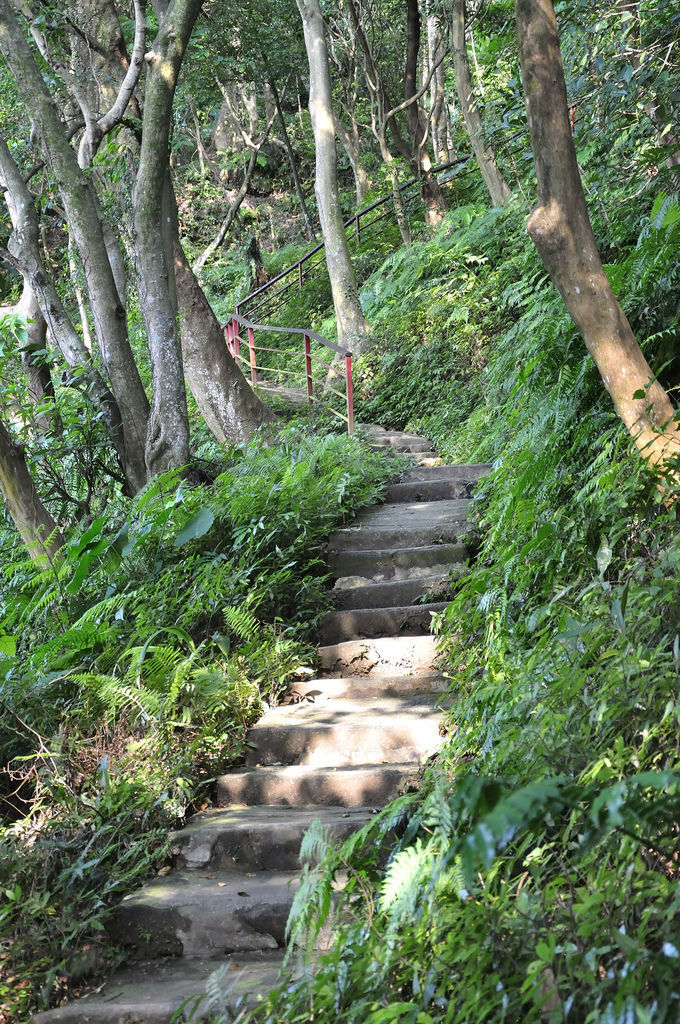 20150716豹山溪攀岩步道_20.jpg