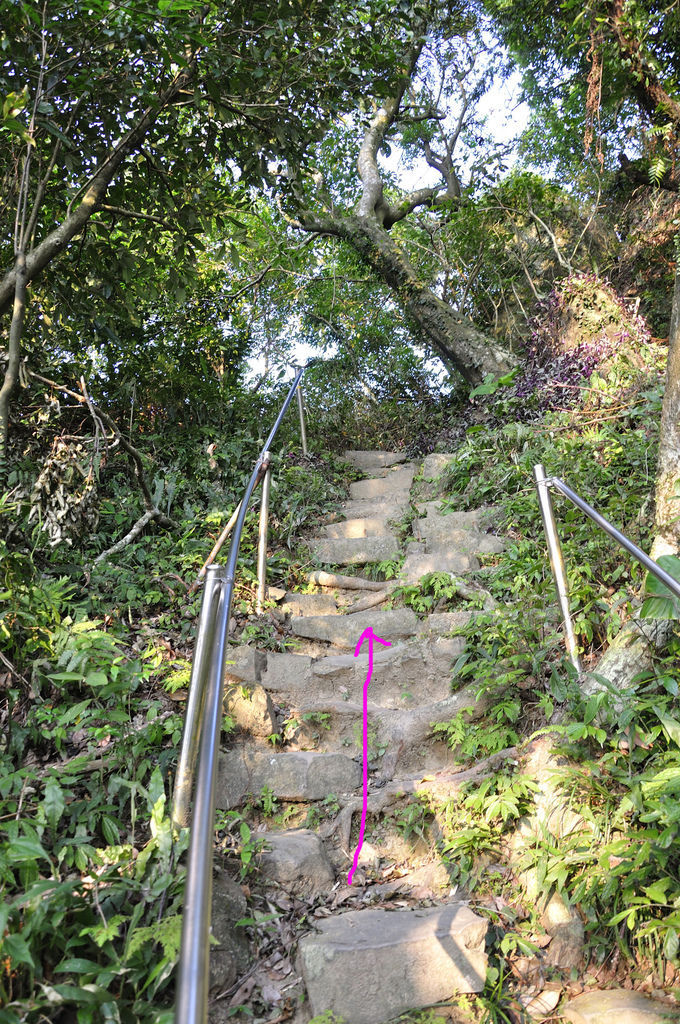 20150716豹山溪攀岩步道_46.jpg