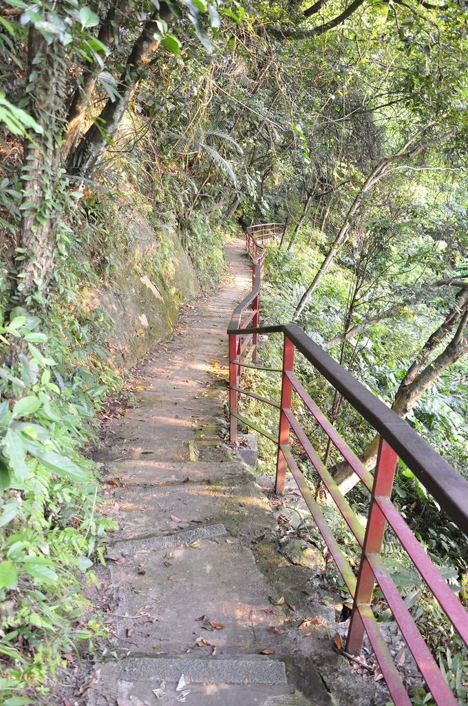 20150716豹山溪攀岩步道_58.jpg