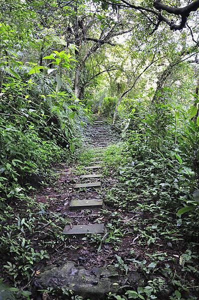 20150724南港山一號索道_32.JPG