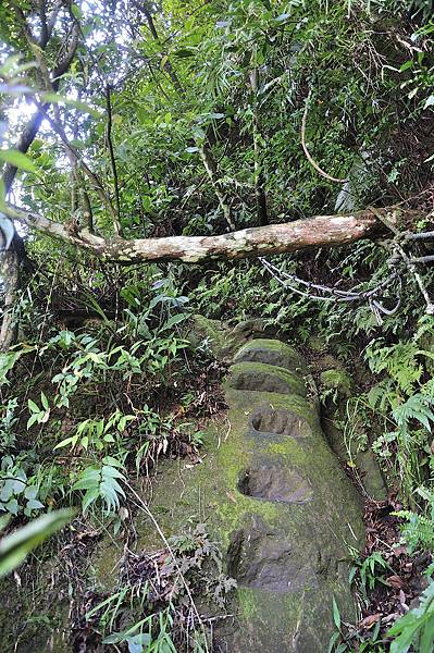 20150724南港山一號索道_50.JPG