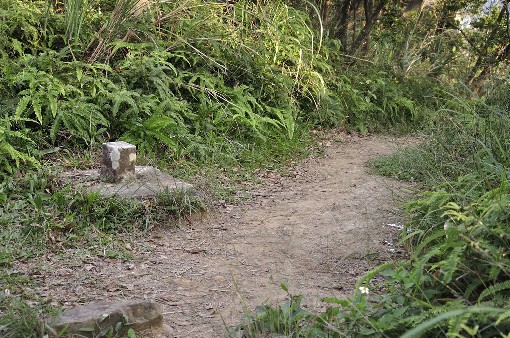 20151126剪刀石山_72.JPG