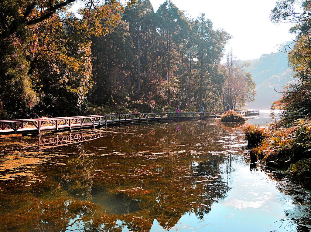 20150104福山植物園_007_03.jpg