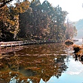 20150104福山植物園_007_03.jpg