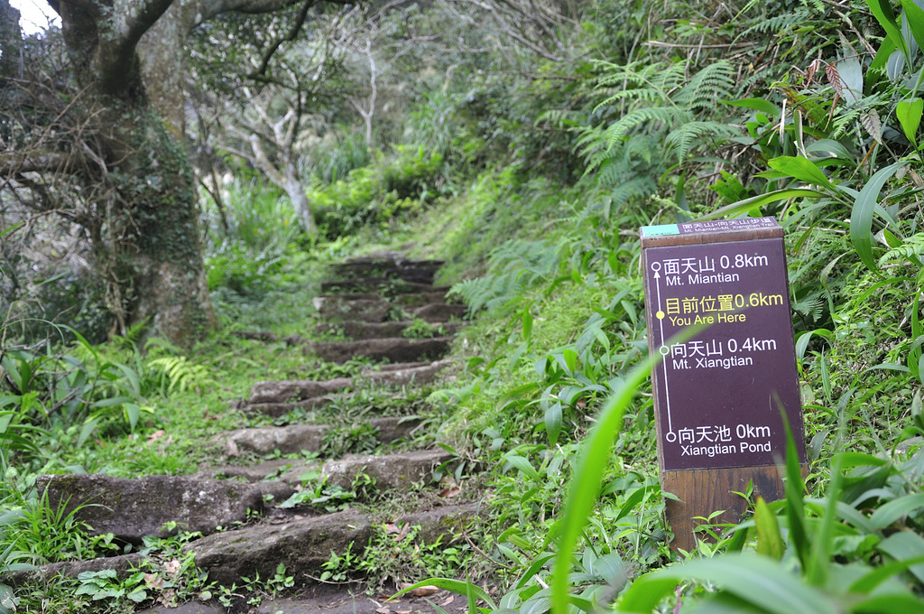 20170118面天山_082.JPG